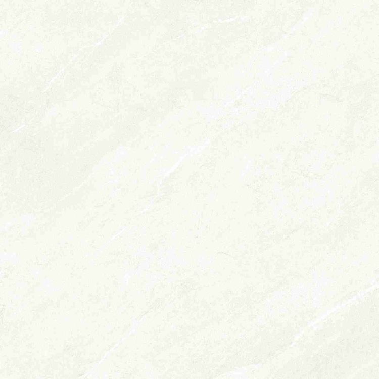Dhara White Matte 48 x 48